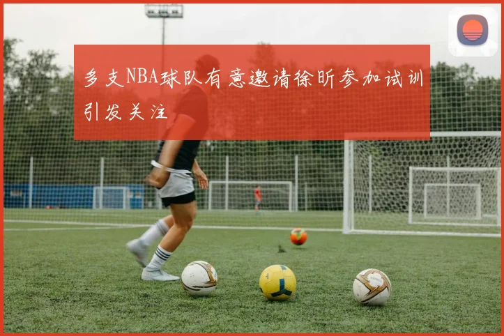 多支NBA球队有意邀请徐昕参加试训引发关注