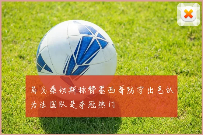 乌戈桑切斯称赞墨西哥防守出色认为法国队是夺冠热门